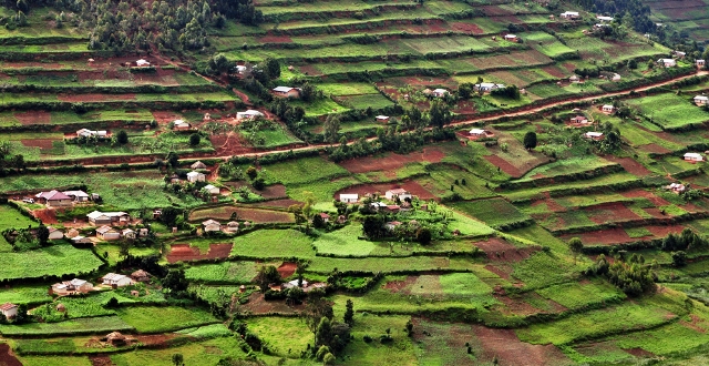 terraced bunyonyi lake